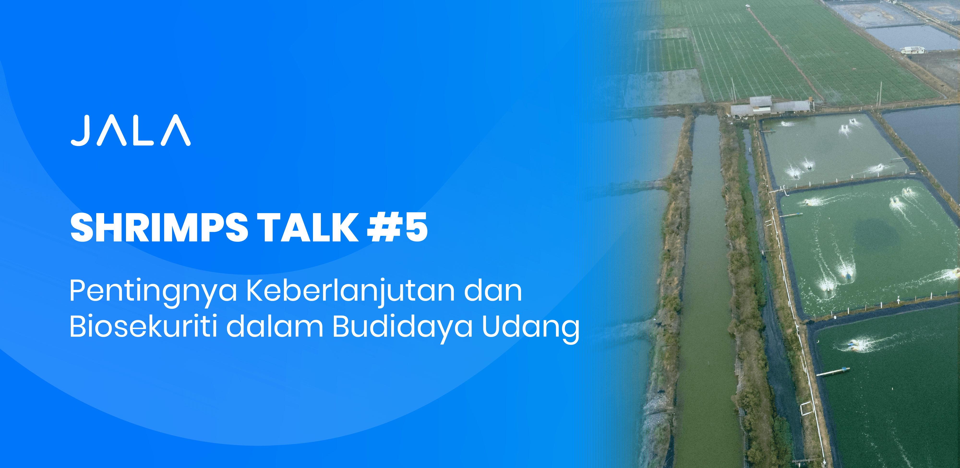 SHRIMPS TALK 5 Membahas Pentingnya Keberlanjutan Dan Biosekuriti Dalam