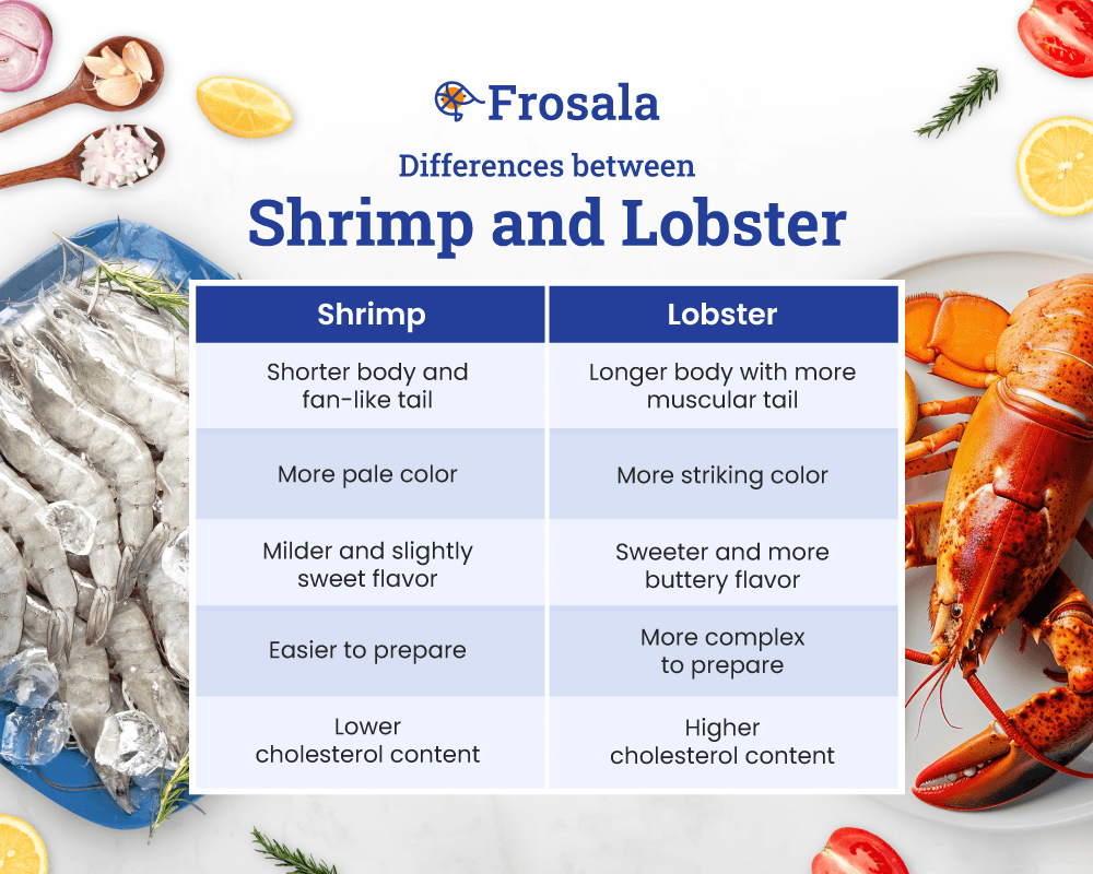 Differences between Shrimp and Lobster