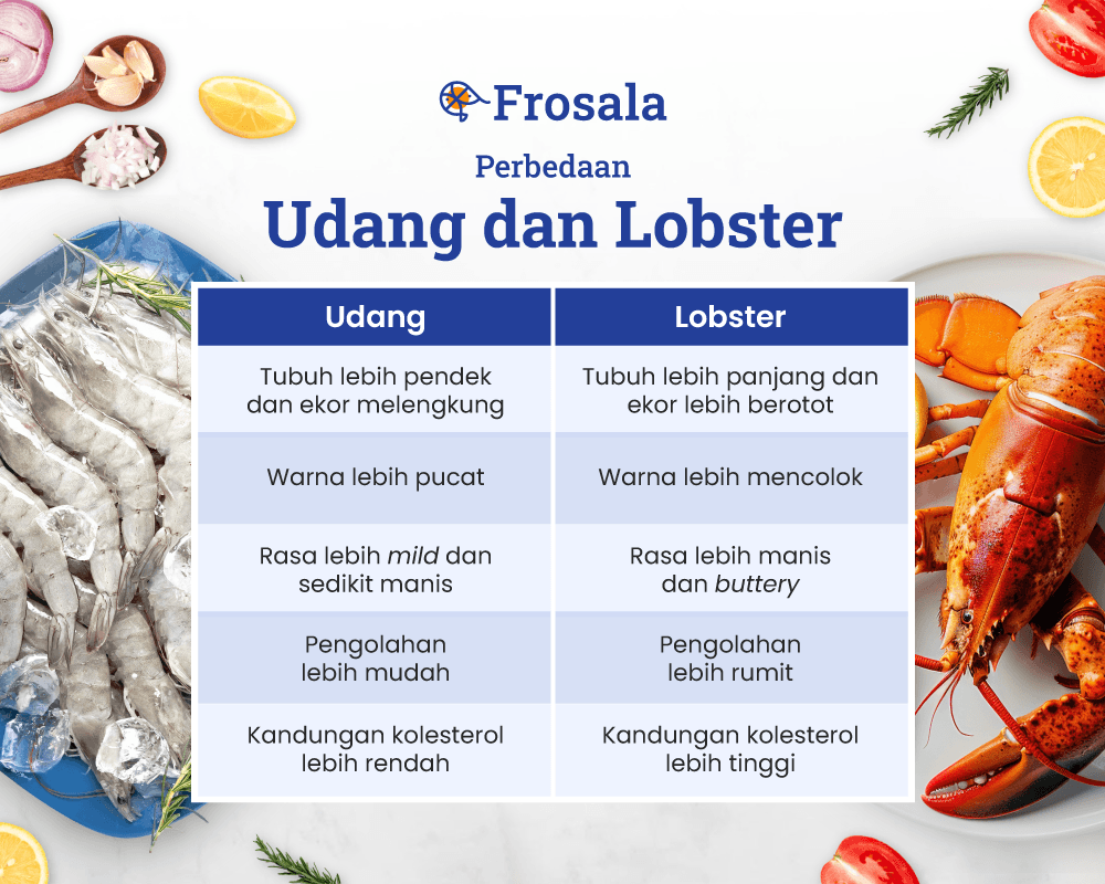 Perbedaan Udang dan Lobster