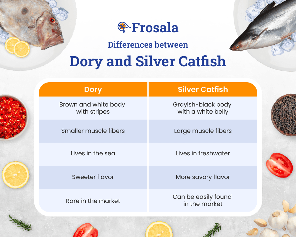 Differences between Dory and Silver Catfish