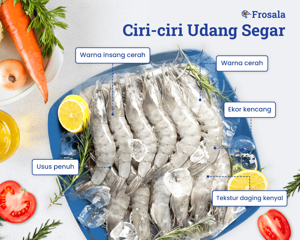 Ciri-ciri Udang Segar