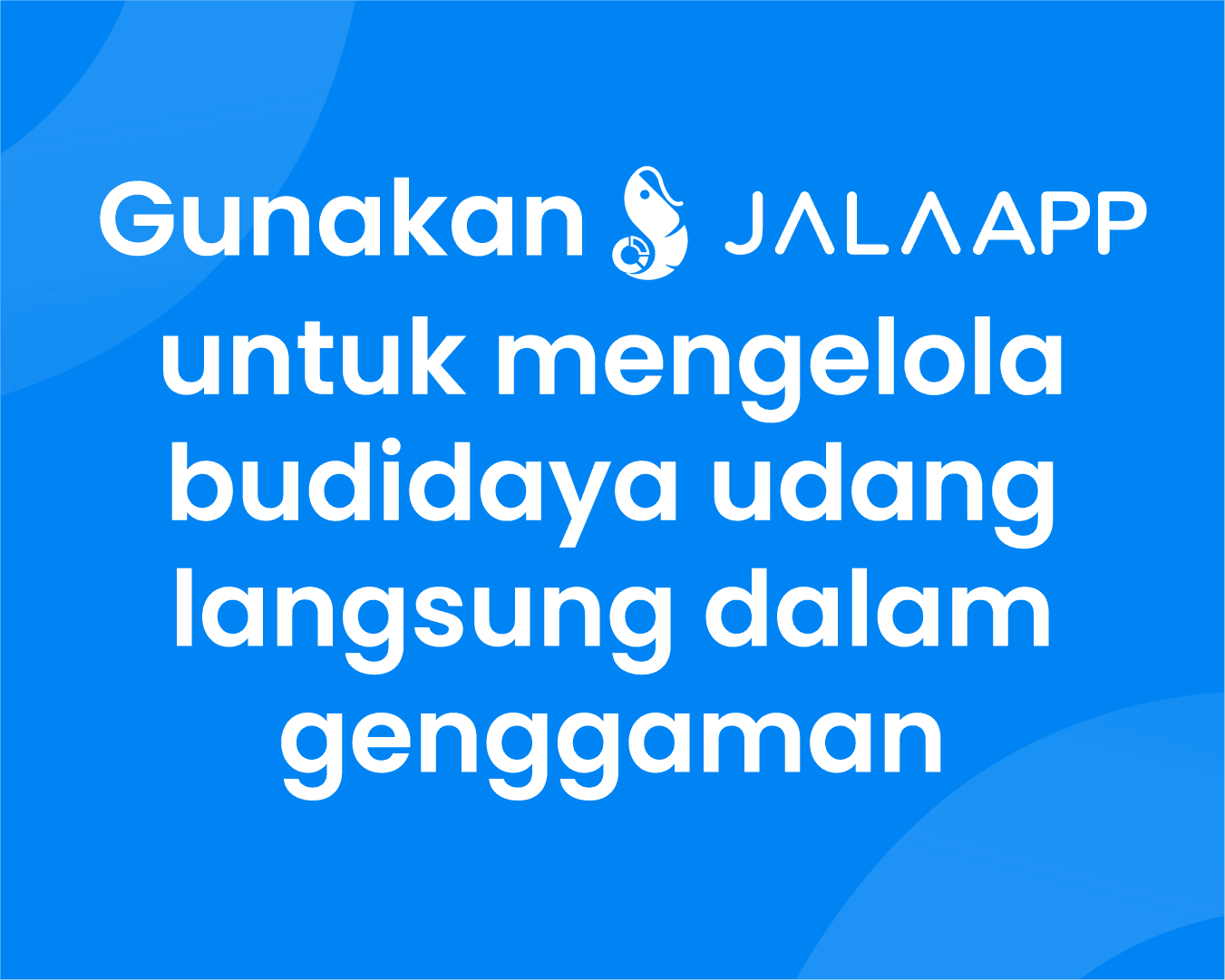 Siklus Hidup Udang Vaname Dari Telur Hingga Dewasa Jala Blog