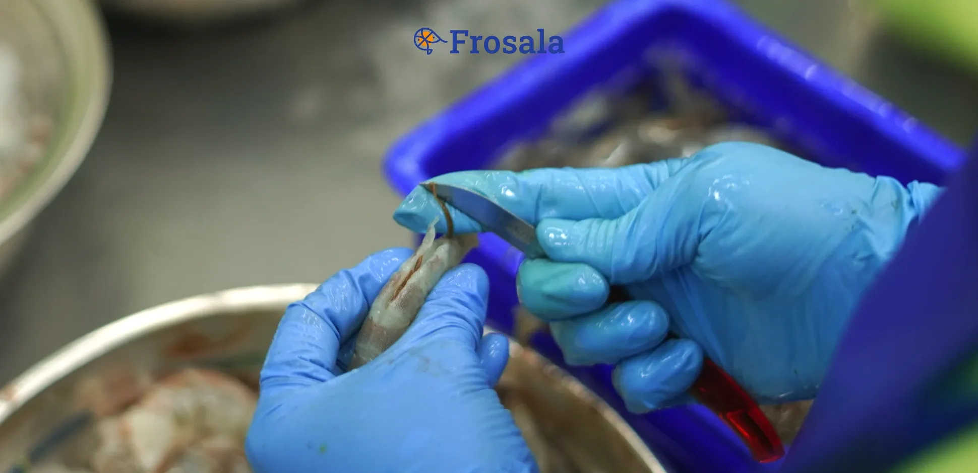 How to Clean Shrimp Properly | Frosala Blog