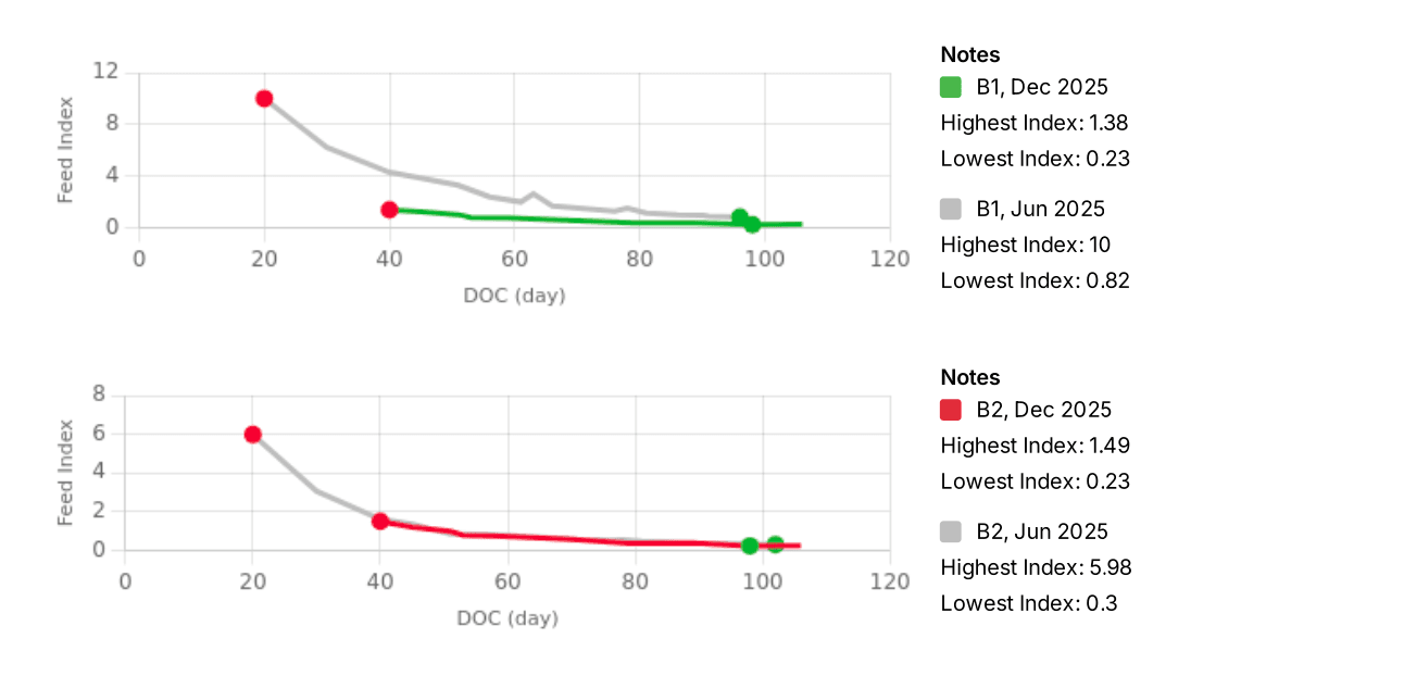 [EN] Konsumsi Pakan 2.png
