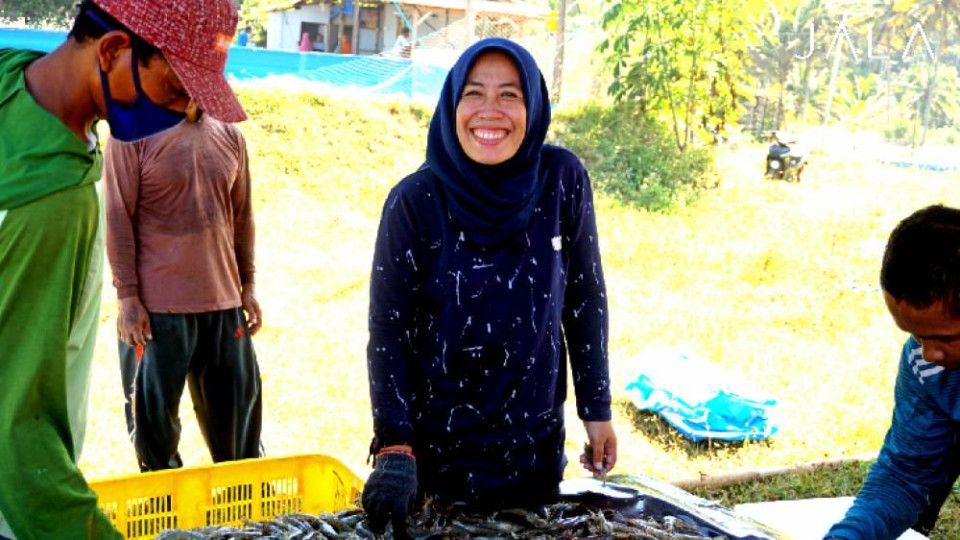 Perempuan Dan Tambak Udang Jala Blog